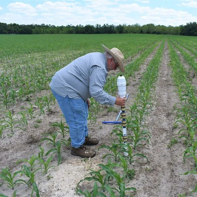 thumbnail for publication: The Basics of Agricultural BMPs in Northern Florida and Southwestern Georgia